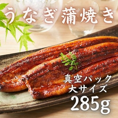 うなぎ蒲焼き 大サイズ 1尾285g – 豊洲市場直卸通販