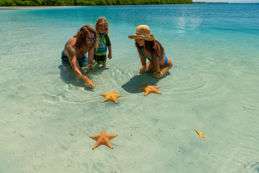 Boca del Drago Starfish bay, Bocas del Toro.jpg__PID:df8fd48b-e3fc-4abd-9579-a86a7f7f3df7