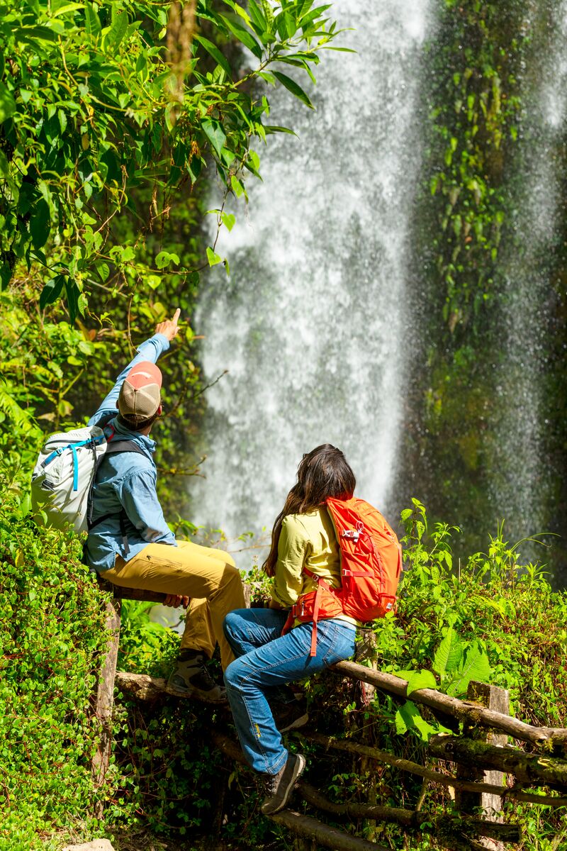 Cloudforest Waterfall Hike (Lost Waterfalls Boquete).jpg__PID:a0608574-fe6a-4e90-bc48-f71248270eaa