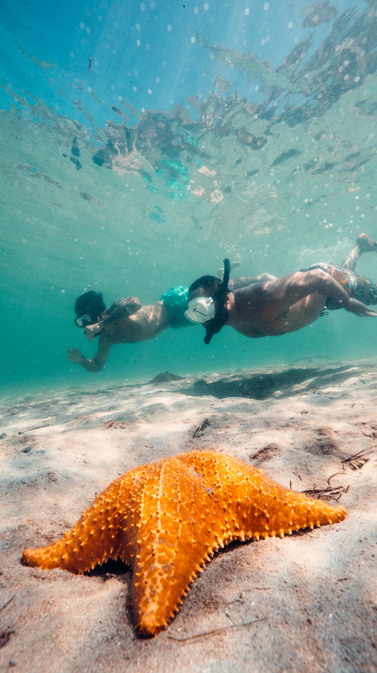 Snorkeling.jpg__PID:12a29d49-cc81-46aa-947a-8b0760edd355