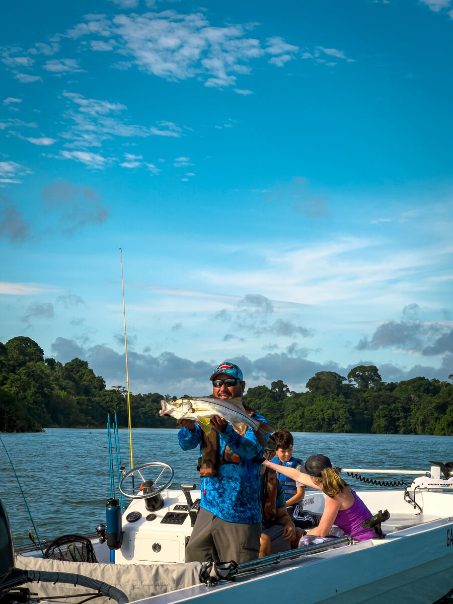 large-Gatún Lake,  Panamá Province.jpg__PID:eb21d0e9-a855-40d1-913d-6e36dcfd19fd