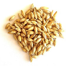 Barley (L-Hordenine HCL)