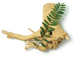 Eurycoma Longifolia Longjack Root