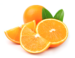 Synephrine HCL_Citrus Arantium Bitter Orange Fruit