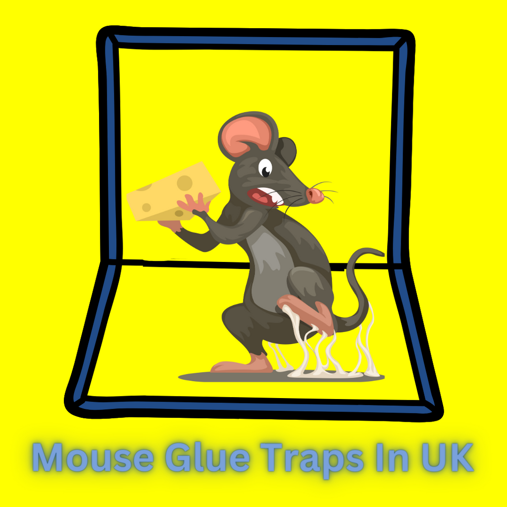 Sticky Glue Mouse Pad Traps