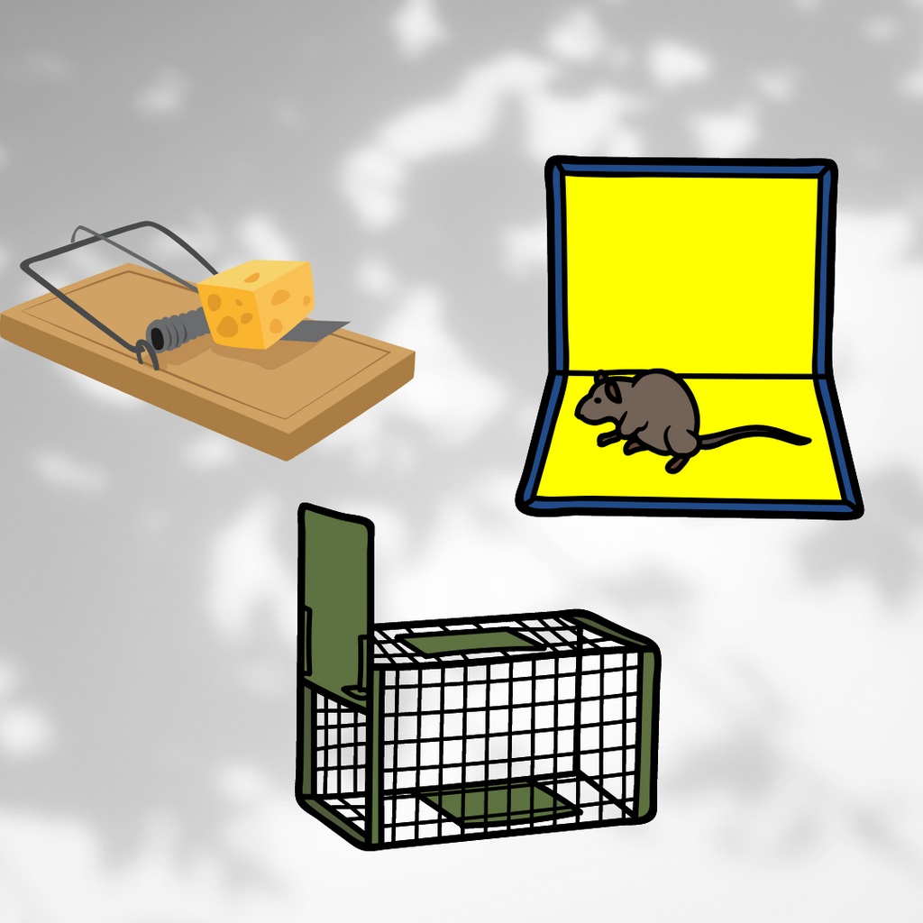 Types of Mouse Traps