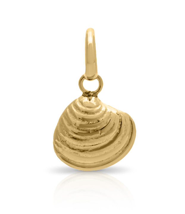 Fowey pendant. Solid gold shell. Shell jewellery. Serena Ansell Jewellery.
