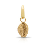 Langland Bay shell pendant. Cowrie shell pendant. Solid gold shell. Shell jewellery. Serena Ansell Jewellery.