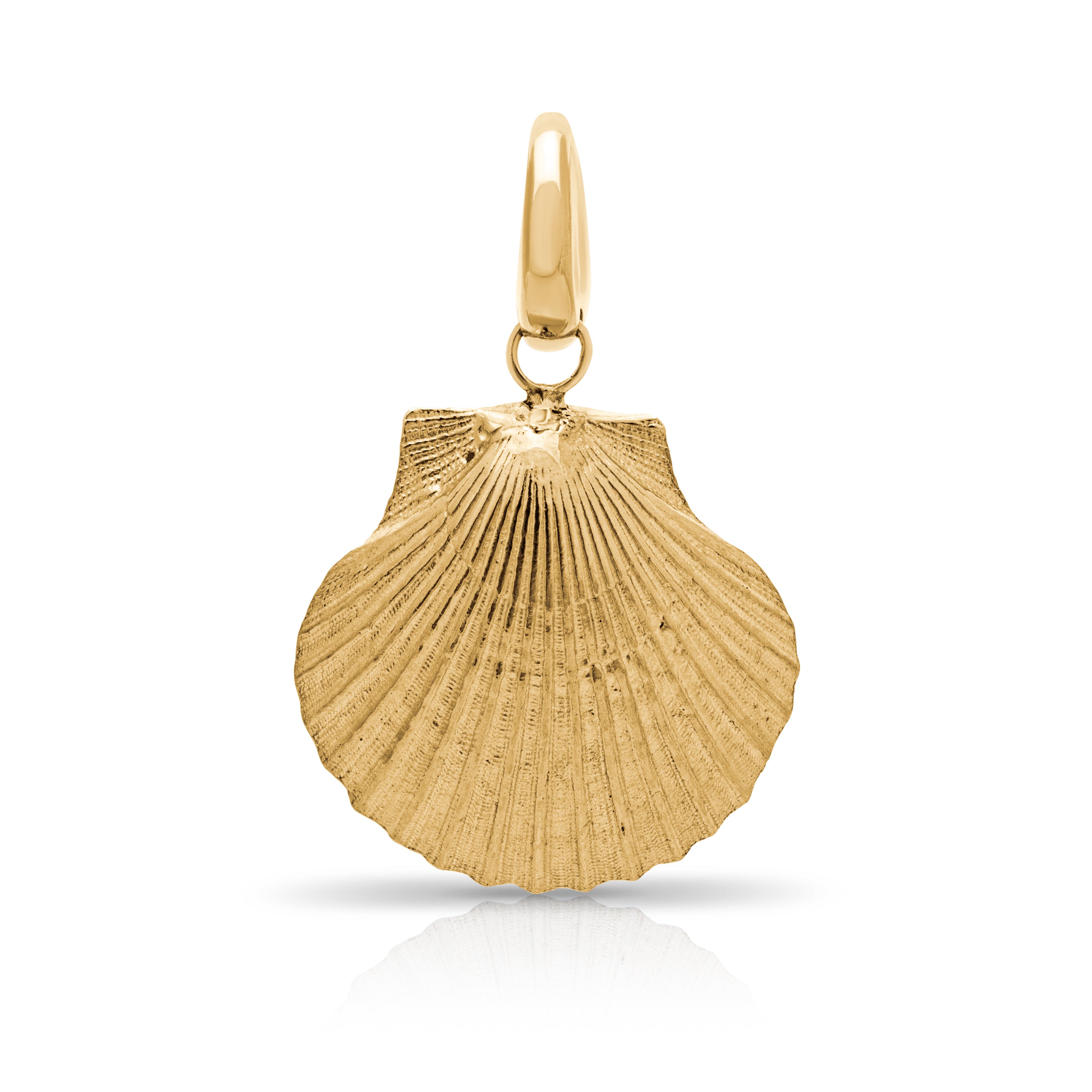 Oxwich Bay shell pendant. Solid gold shell. Shell jewellery. Serena Ansell Jewellery.