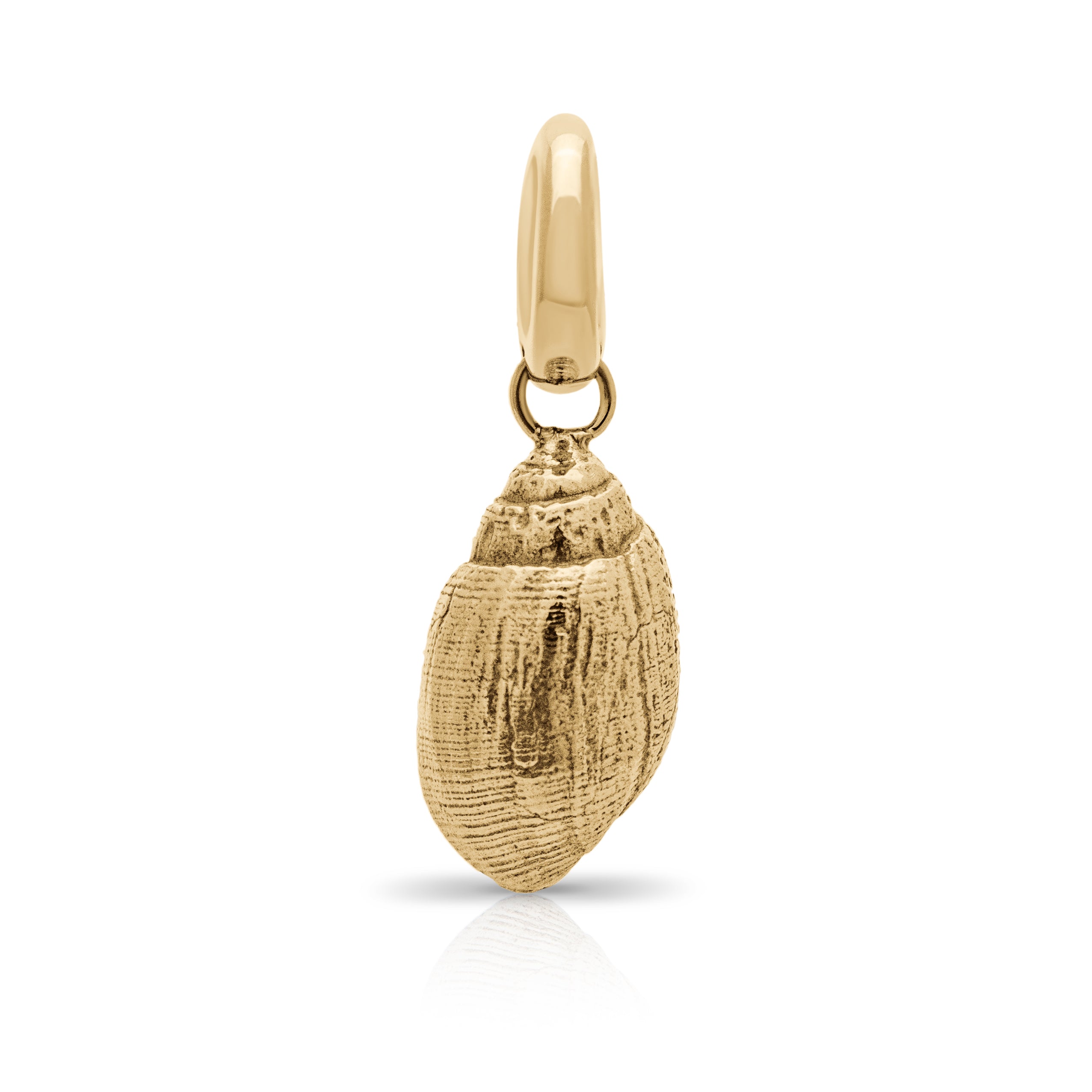 Rhosilli Bay shell pendant. Solid gold shell. Shell jewellery. Serena Ansell Jewellery.