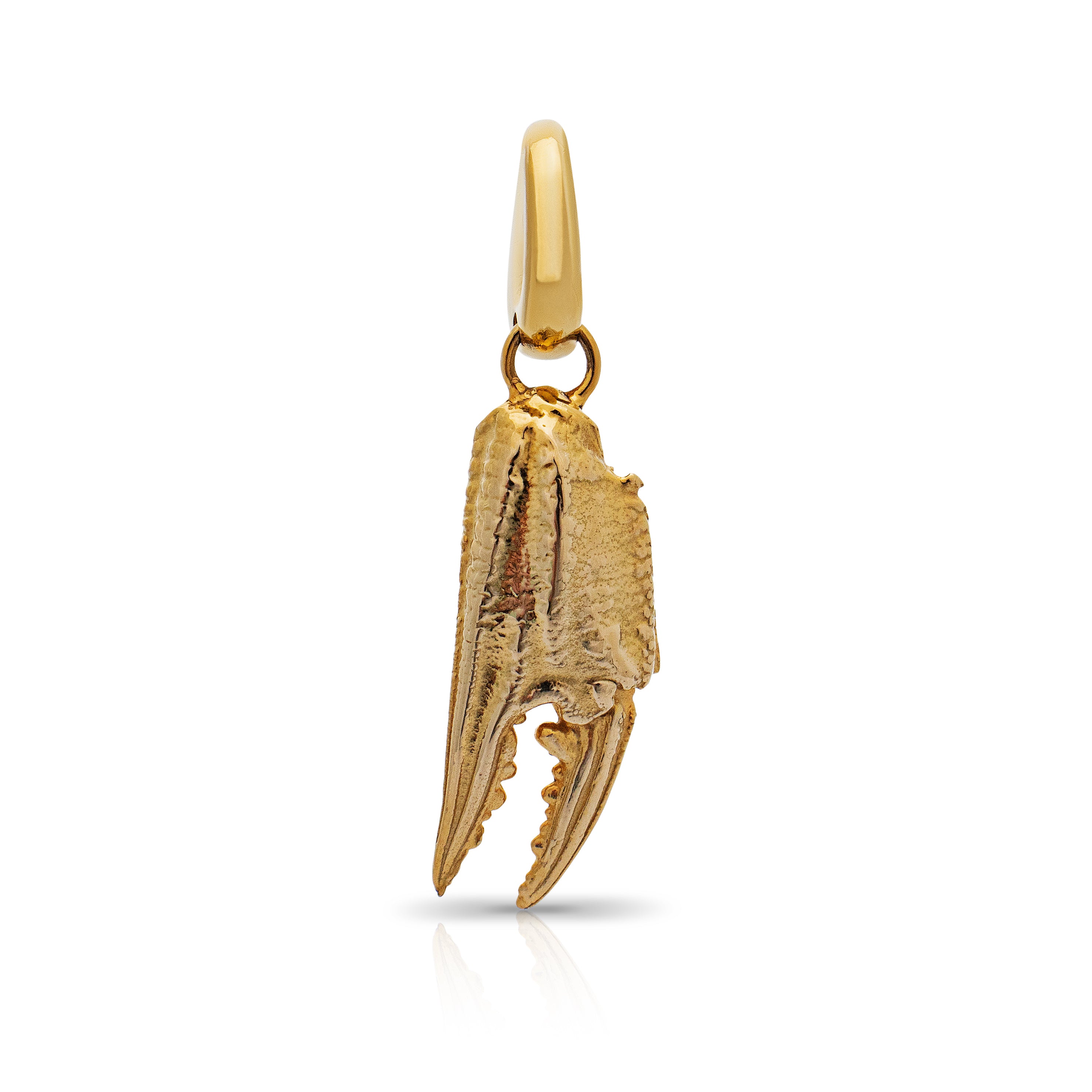 Cromer claw pendant. Gold crab claw. Crab jewellery. Serena Ansell Jewellery.