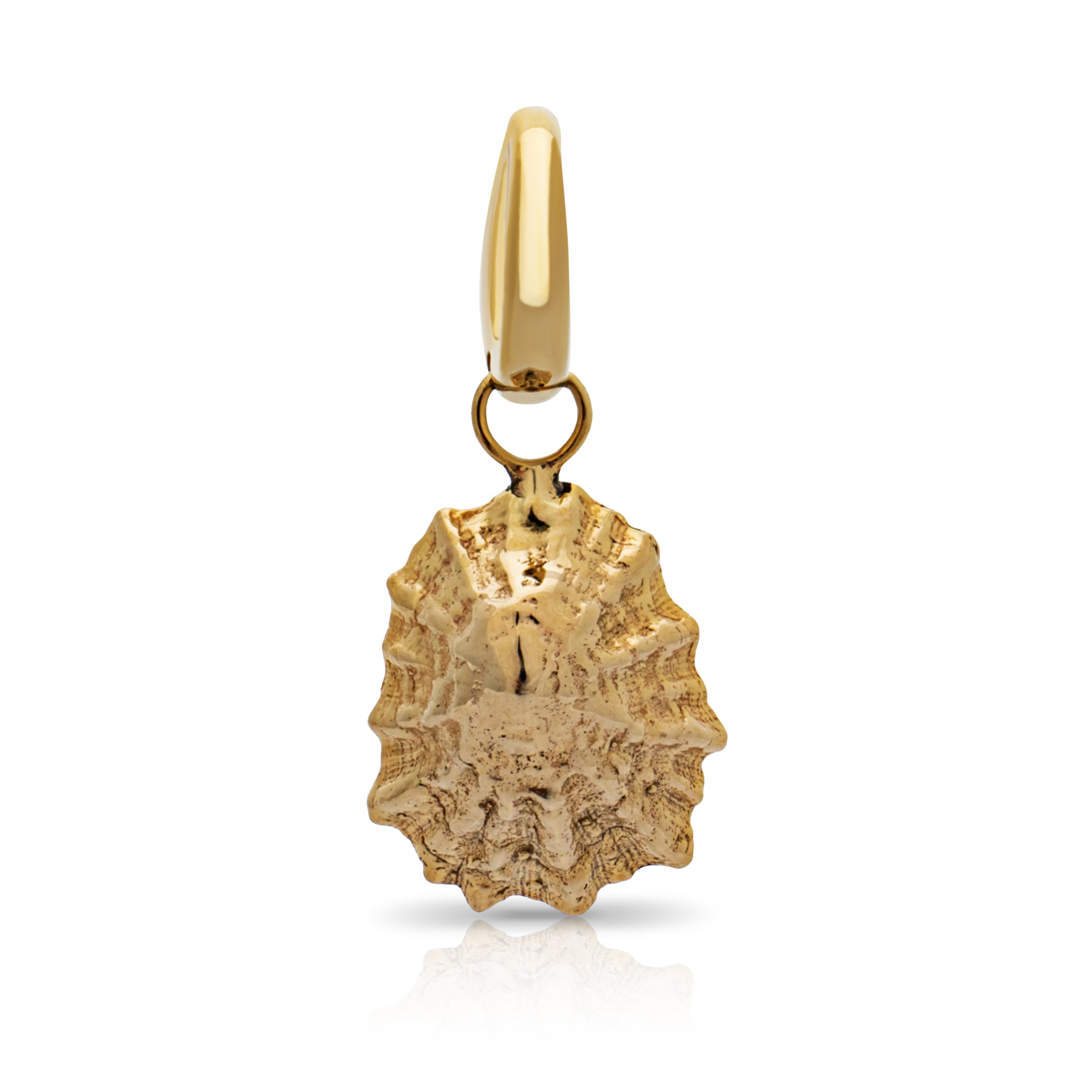Constantine Bay pendant. Solid gold shell. Shell jewellery. Serena Ansell Jewellery.