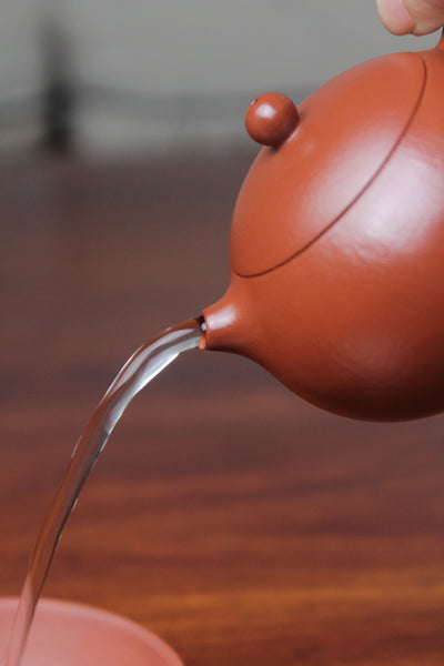 xishi teapot