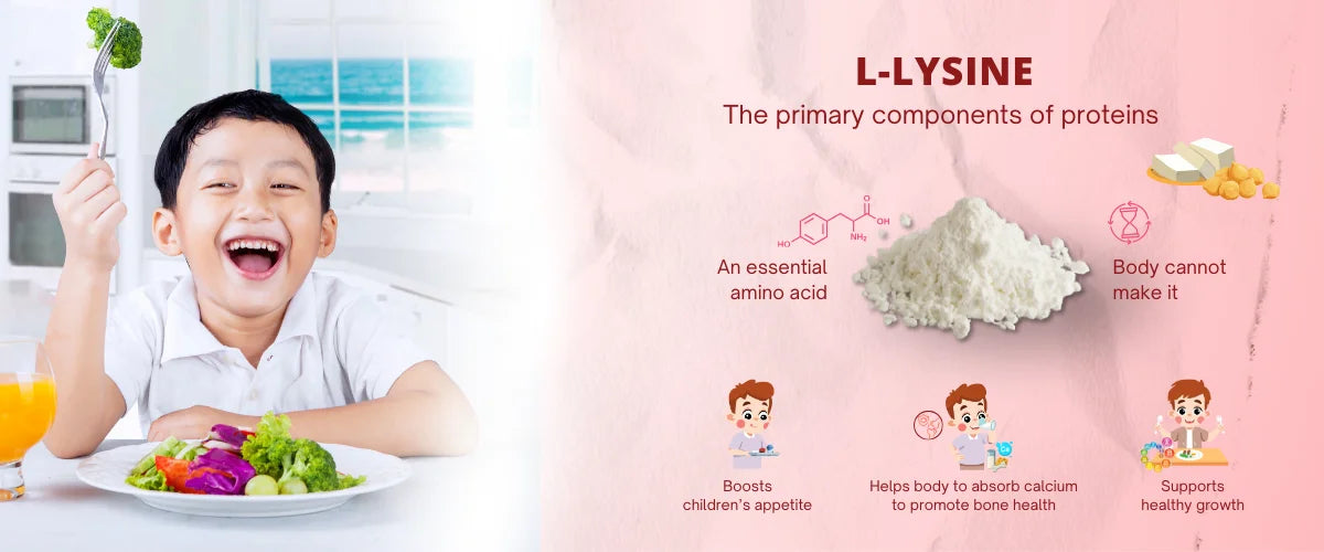 Visual 5 -L-Lysine Boosts Your Kids’ Appetite (1200 x 500 px).webp__PID:065af188-9aef-4e41-85f8-1250cc6a42aa