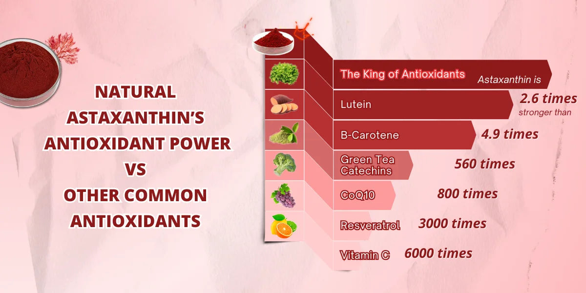 Visual 7- Comparison antioxidants  - (1200 x 600 px).webp__PID:efae4185-f812-40cc-aa42-aaa810559059