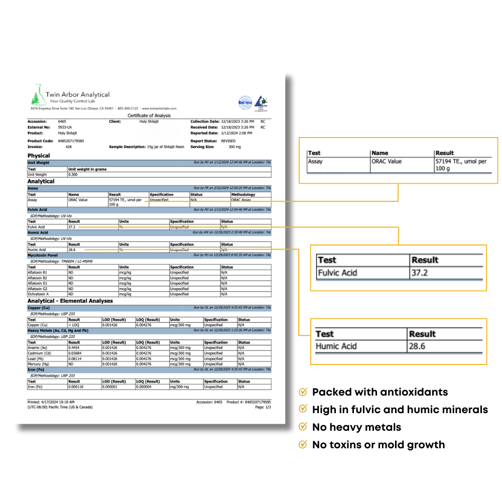 Lab report from 'Twin Arbor Analytical' analyzing physical and chemical properties of Holy Shilajit.