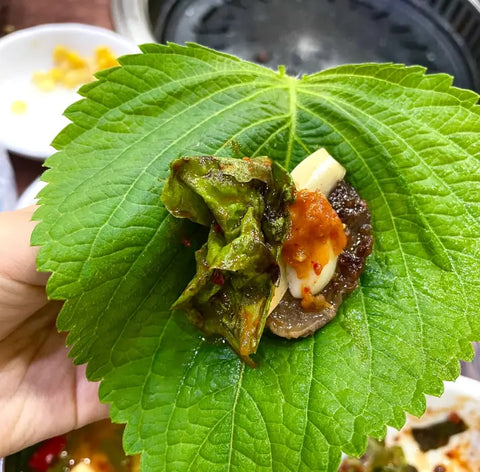Introducing Galbi