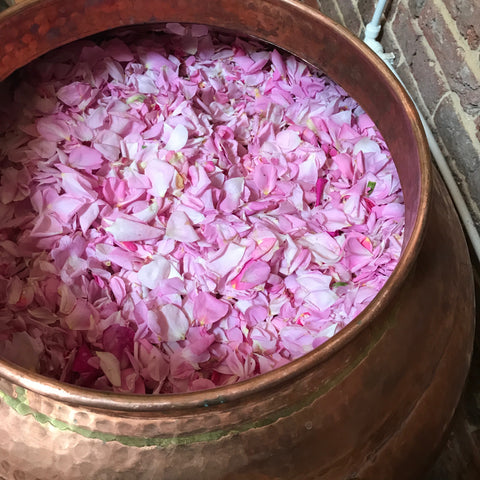 Distillation of Roses in the Alembic Still