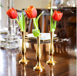 Brass Bud Vase with Tulips
