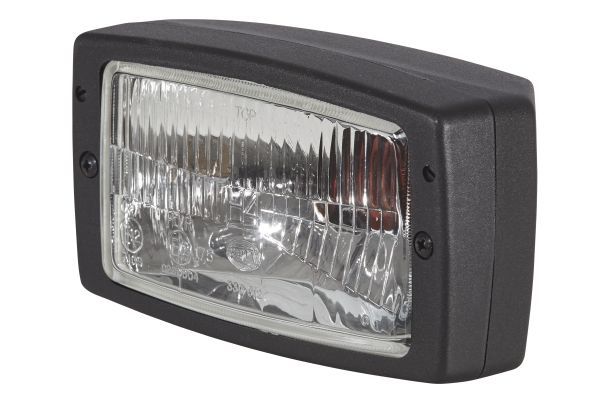 HELLA 1AD 996 018-671 Headlight Modul 6213 24/12V Blade Terminal - left /right