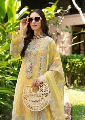 Yellow Colour Pakistani Dress