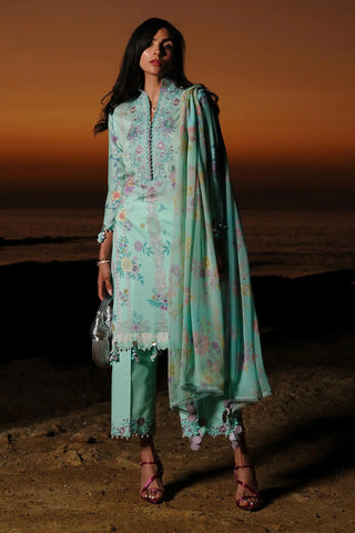 Pakistani Suit-https://hooraindesignerwear.com/