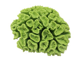 artificial corals large open flower brain coral