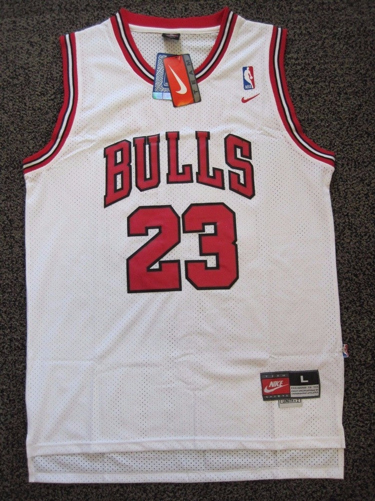 jordan nike swingman jersey