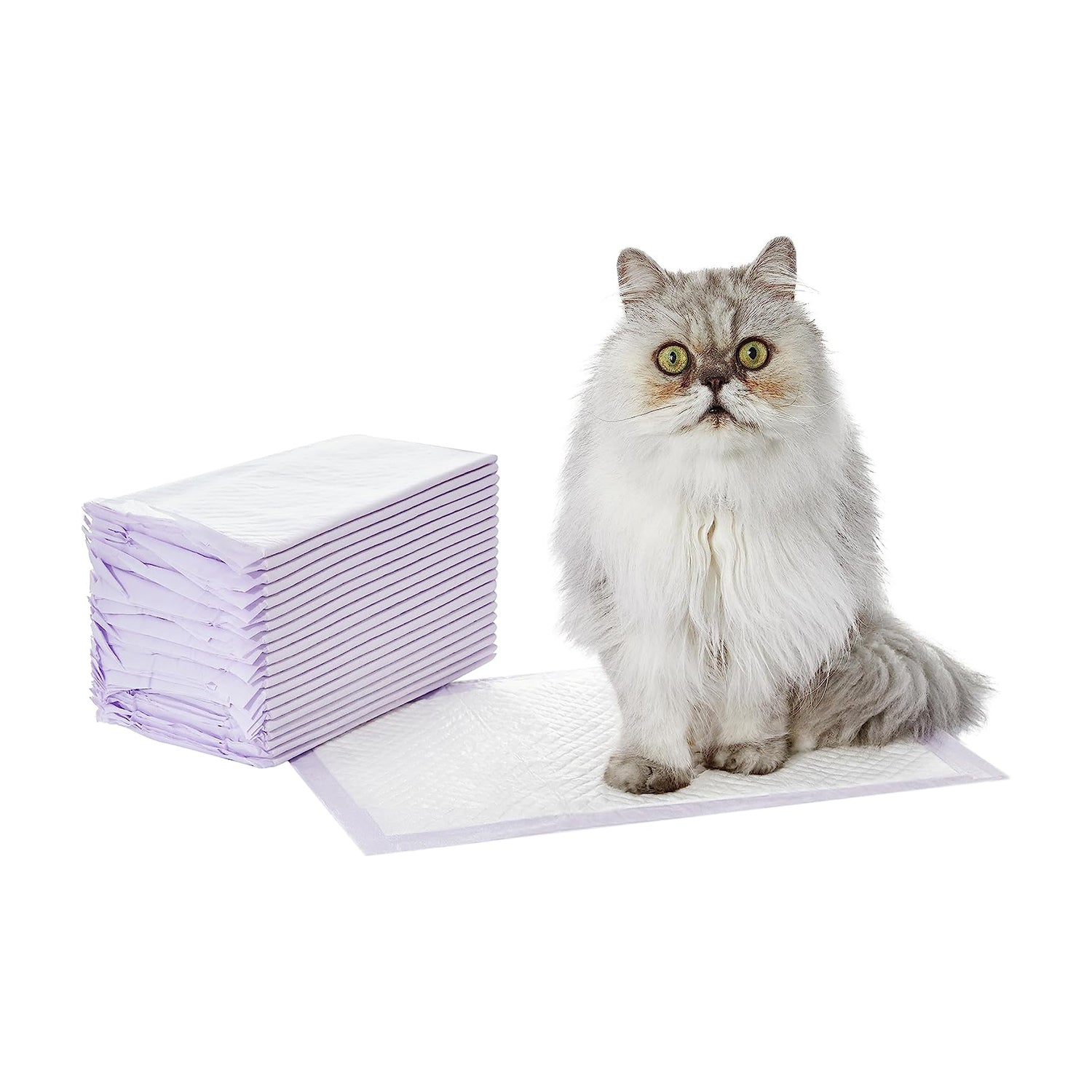 Amazon Basics Cat Litter Pads, Fresh Scent, 20-Count, Purple