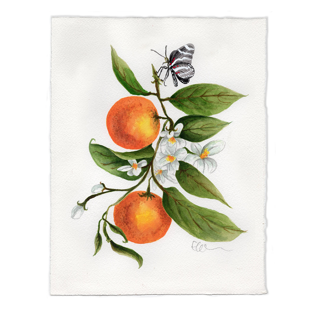 Orange Blossom - SOLD - Lizzie Harper