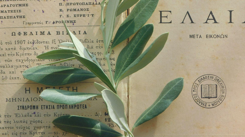 Herb on old Greek book
