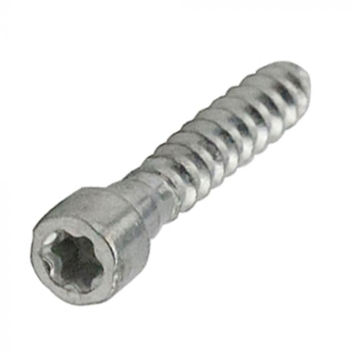 Vis Torx 27 pour Stihl. x10. Type M4 x 12