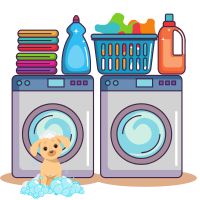 cute graphic of a puppy in front of a washer and dryer in a mound of bubbles.