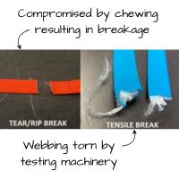 image shows the difference between biothane that has been chewed as well as ripped apart by testing machinery, showing the difference in appearance.