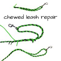 Image of 3 steps to repair a chewed paracord leash