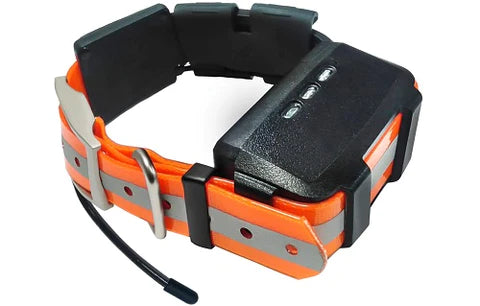 RoG® Speeder Mini GPS collar for dogs - LED