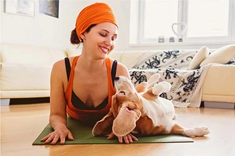 The RELAX command to calm your dog in just 15 seconds