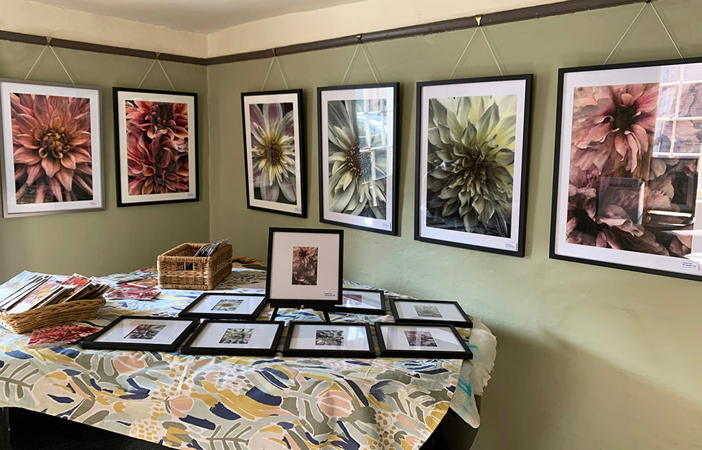 Kate Dawes Botanical Art at Wirksworth art trail