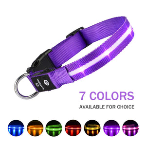 LED Collar - carryontravelgoods