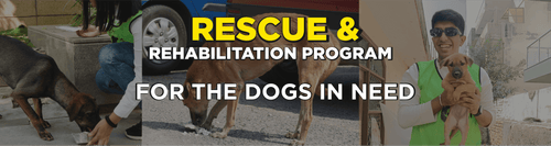 Rescue.png__PID:d61f4423-a574-4fba-a46f-5e3908ab789b