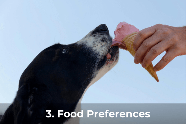 3. Food Preferences | Fur Ball Story