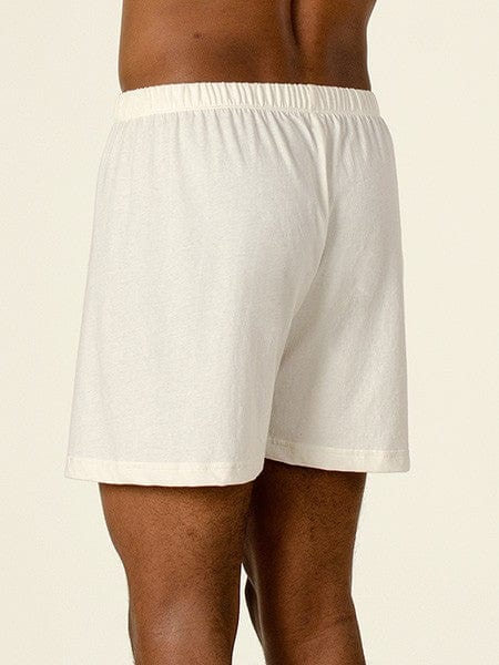 Men's Organic Cotton Briefs with Covered Elastic - Natural Clothing Company