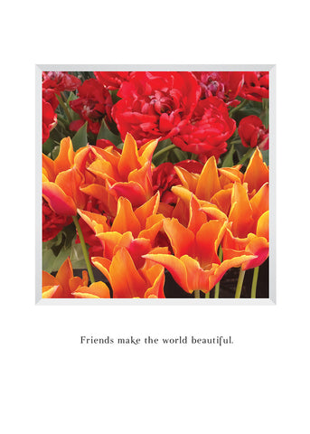 close-up of bright red and orange tulips - birthday greeting card with quote "Friends make the world beautiful."