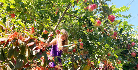 Blond haired child in an apple tree