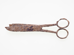 Rusty scissors showing a slow enzyme