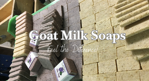 Goat Milk Soaps - Earth Maiden Soap and Sundries - Scented and Unscented