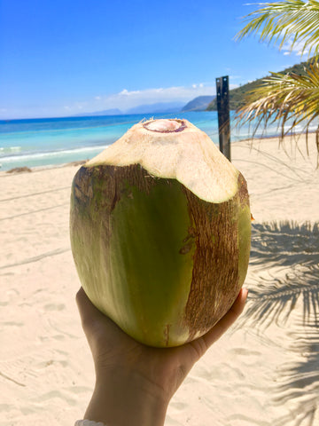 Fresh Coconut Water in Haiti