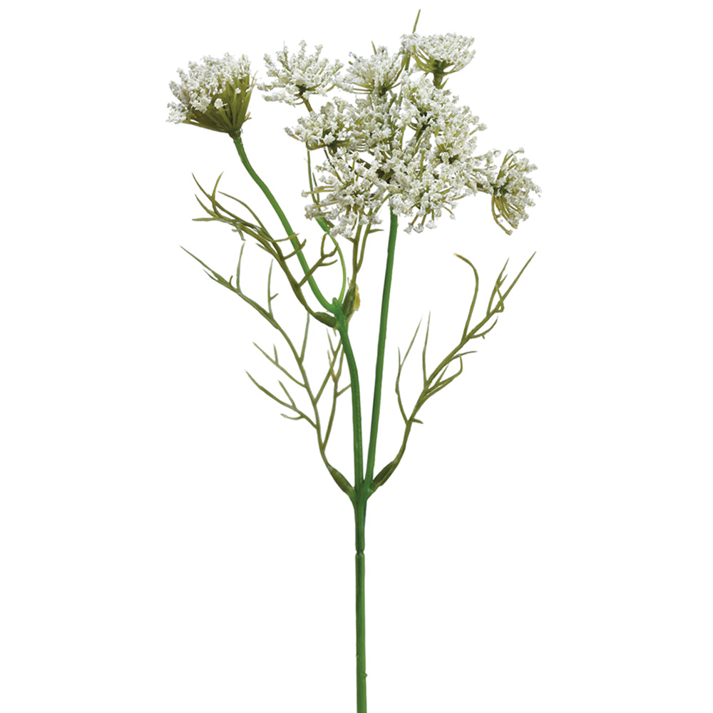 Faux Queen Anne's Lace Stems Trio White Houseplants in Green/White - The Sill
