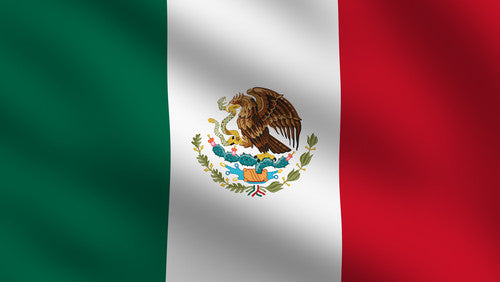 Bandera De Mexico/Mexico Flag — Sandy's Imports