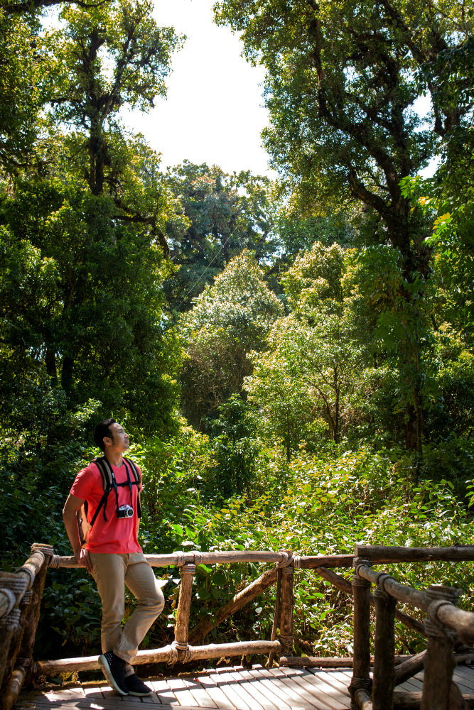 hiker-forest.jpg__PID:51bf1c54-4a9f-4fb0-8c7c-a3d04d1de67d